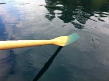 Showing how blue Pond Blue pond dye can be!