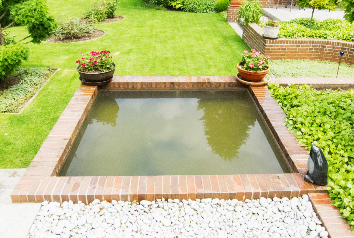Pond dye before Pond dye before