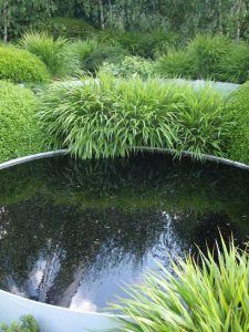 Dyofix Pond black is a perfect black pond dye for garden designers