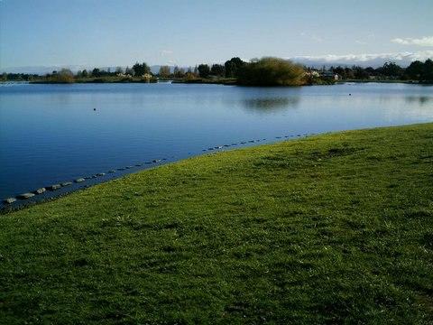 Coloured pond dyes for large lakes