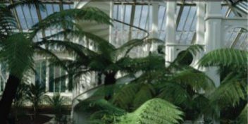 a-year-at-kew Kew Gardens successfully controlled algae with Dyofix