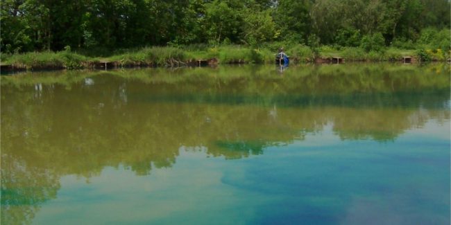 Pond Blue dye for lakes is slowly dispersing in a fishing lake