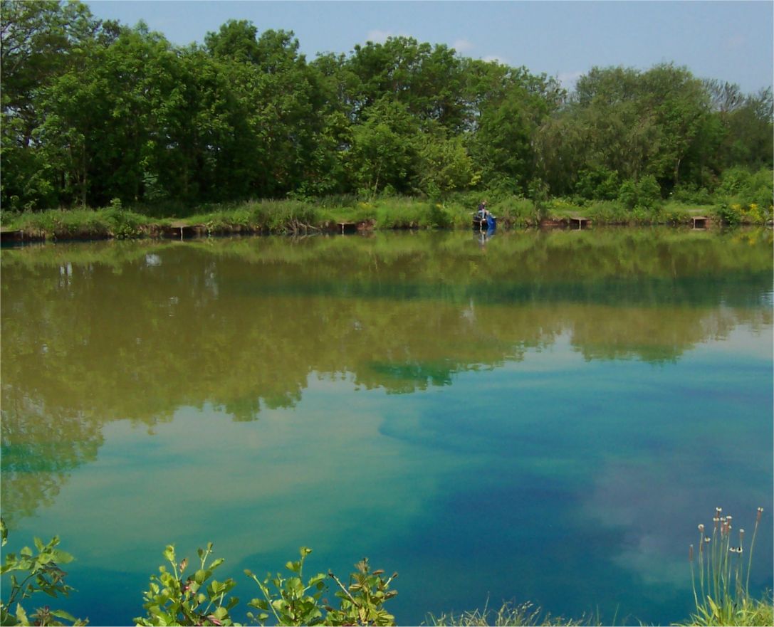 Pond Blue dye dispersing in a fishing lake Pond Blue dye for lakes is slowly dispersing in a fishing lake