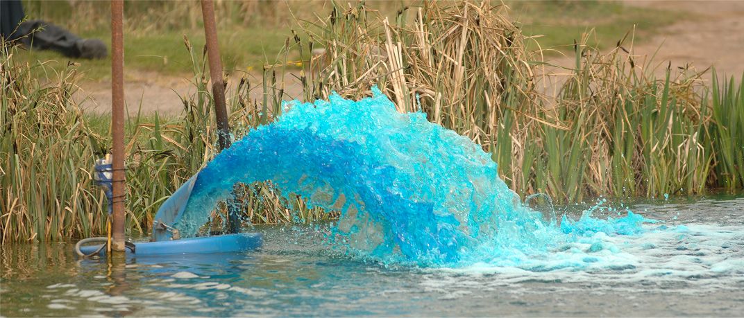 Applying Pond Blue dye to a commercial fishery