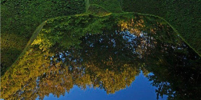 Anne Wareham has created a beautiful reflecting pool for visitors to enjoy at Veddw House