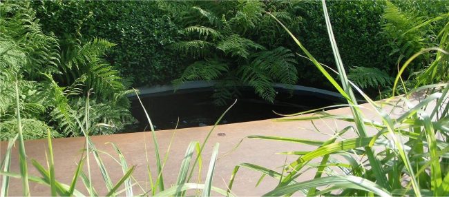 Creating a garden water feature Controlling algae after creating a garden water feature