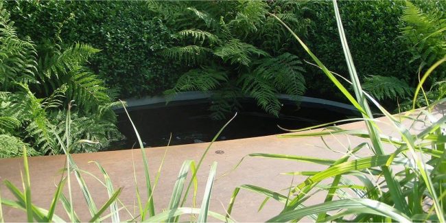 Controlling algae after creating a garden water feature