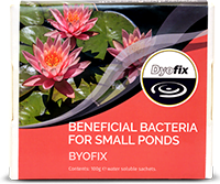 Byofix powder