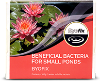 Byofix powder