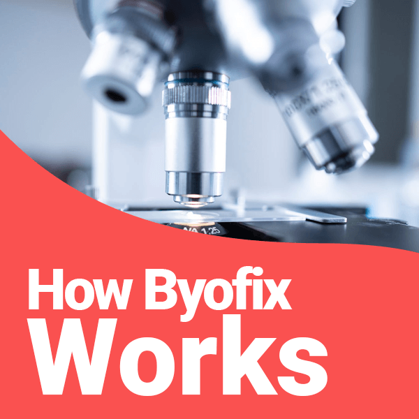 how byofix works