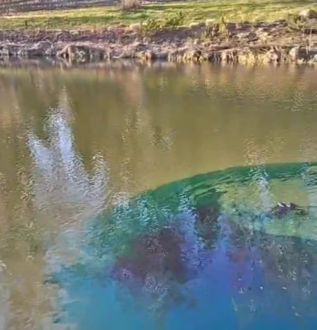 pond blue sachet video