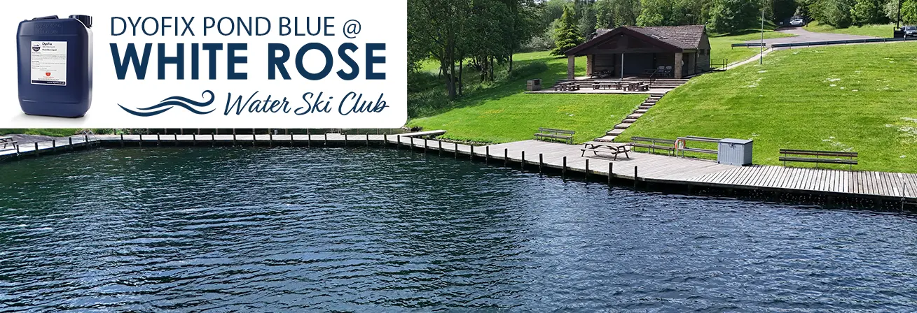 Dyofix-Pond-blue-at-white-rose-water-ski-club